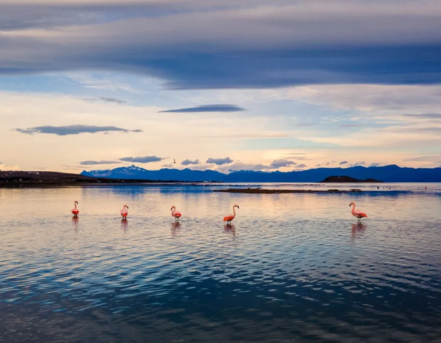 Patagonia_14