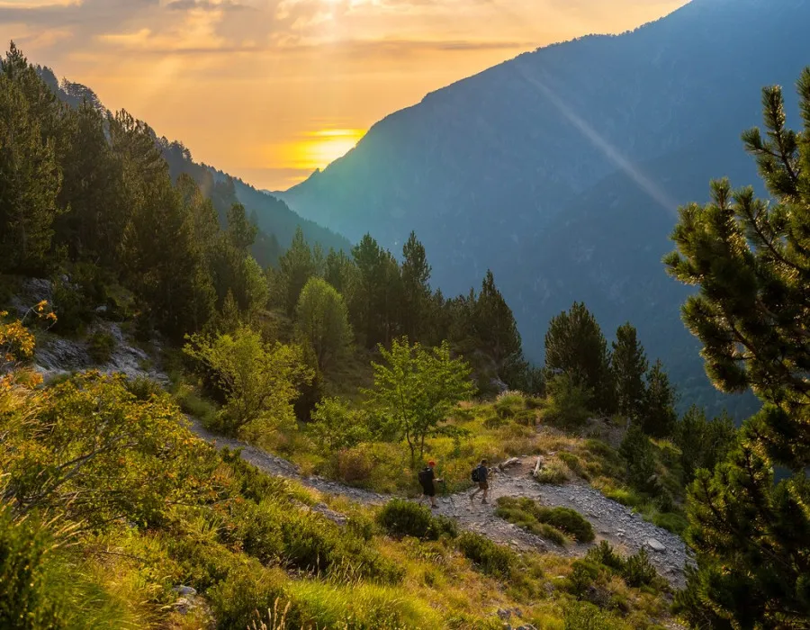 People walking on rocky path through trees at sunset