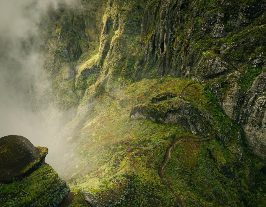 Green, rocky mountains and mist