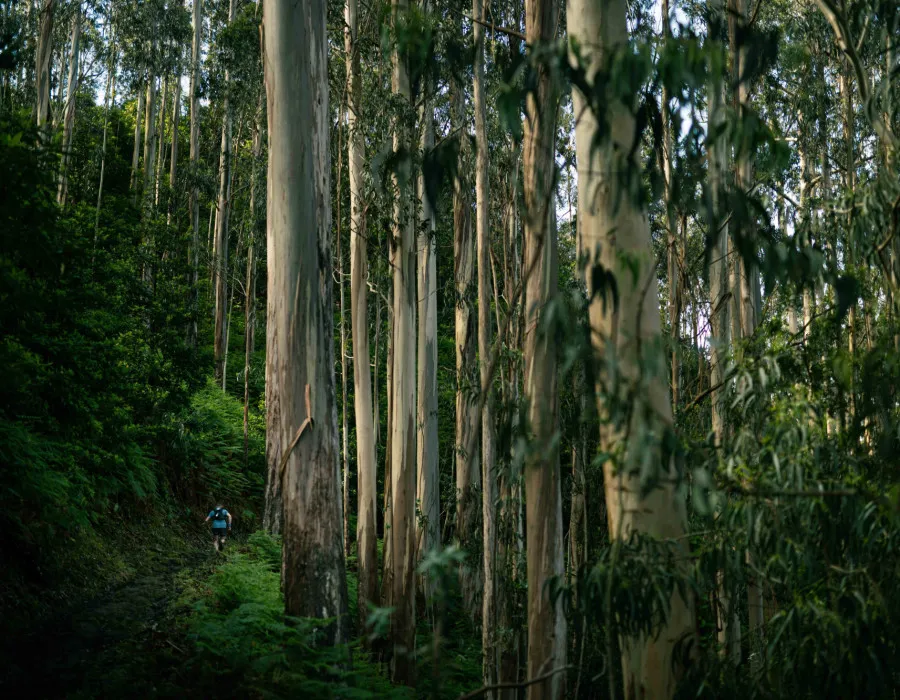 Participant running through dense forest