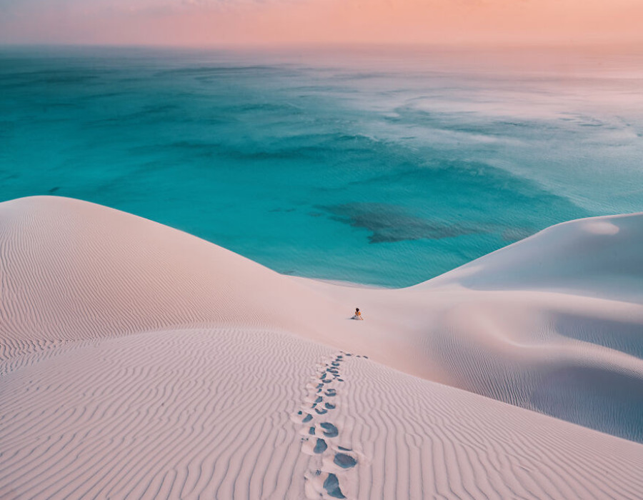 socotra