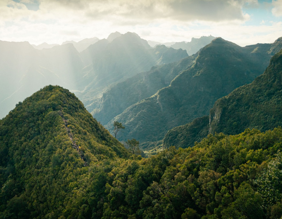 Madeira Coast to Coast_7