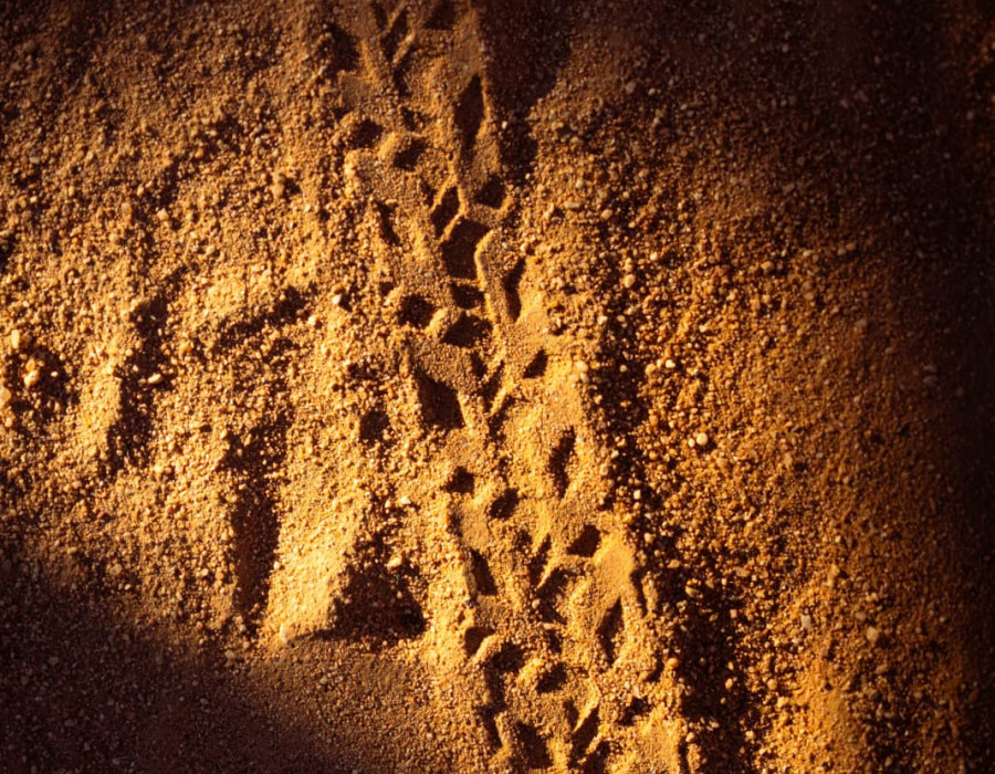 Bike tyre tracks left in sandy gravel