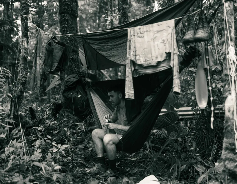 Jungle4