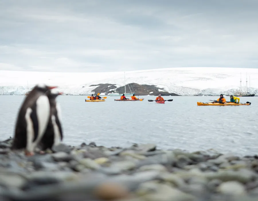 Antarctica Adventure _2
