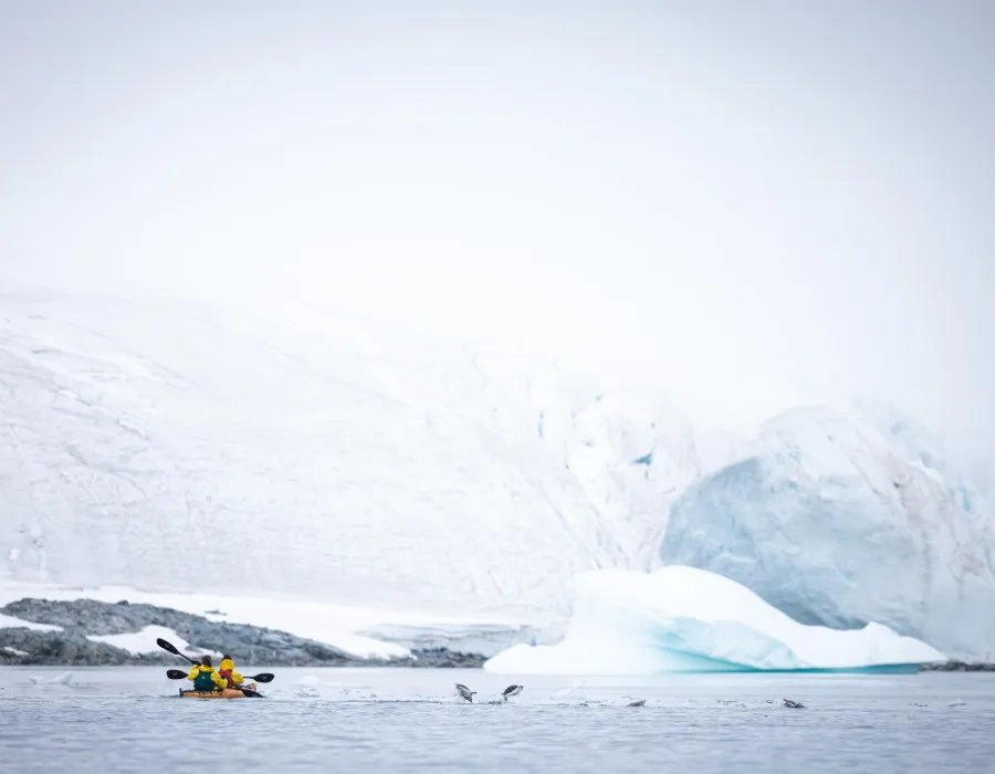 Antarctica Adventure _31