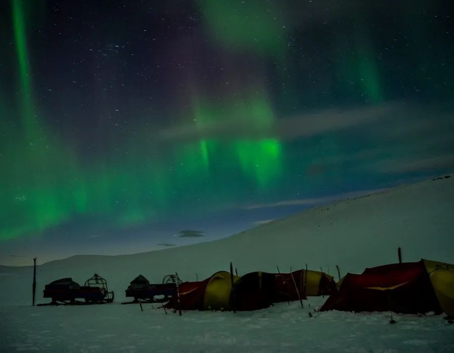 Tents in the middle of a snowy, dark landscape, where bright green northern lights cover the background