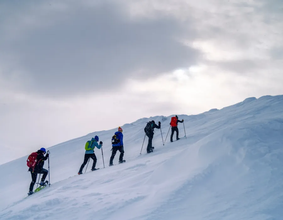 Five event participants in colourful clothing walking up a snowy hill using walking poles