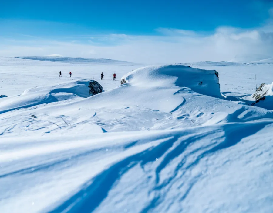 Participants crossing vast, snowy terrain under a bright blue sky