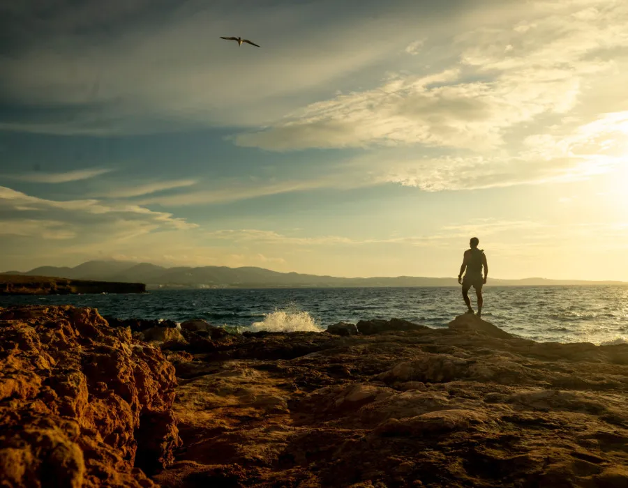 A single event participant stands on a copper, jagged rock and looks out to the blue sea and bright sky as a bird flies over