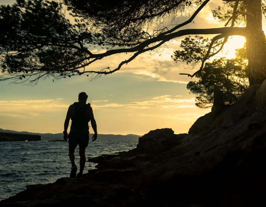 A single event participant walking along the water at sunset, with a tree branch hanging above them