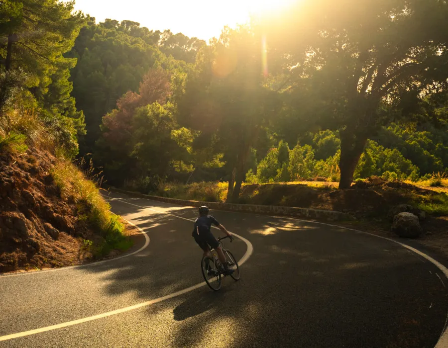 A lone cyclist leans into a bend in the road, with sunlight shining down and colourful trees lining the route