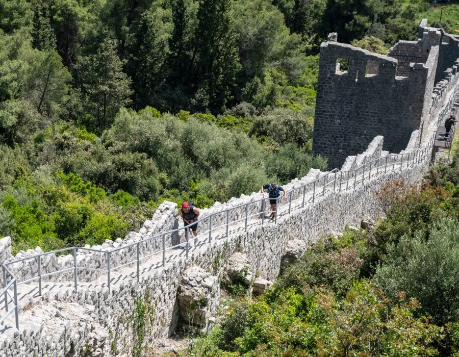 Men walking up the Walls of Ston, with lush greenery either side
