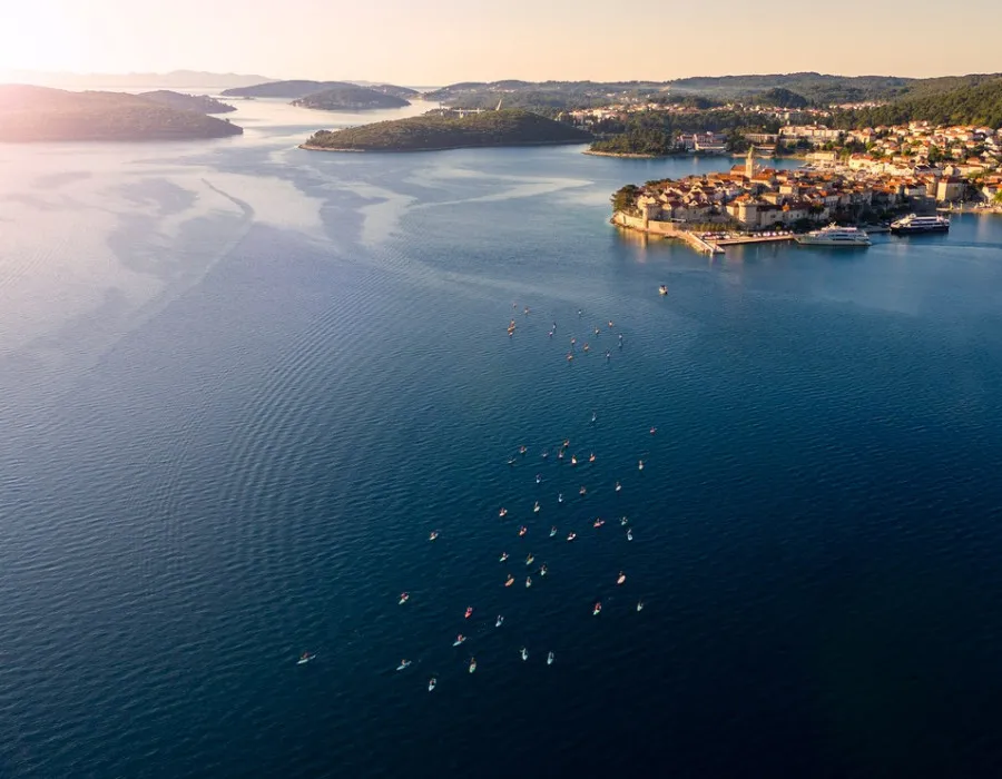 Participants paddle across the water on stand-up paddleboards, with boats, greenery, and buildings in the background