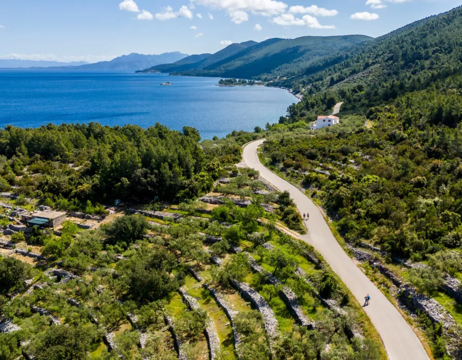 Participants running on a countryside road, through lush greenery with the sea in the background