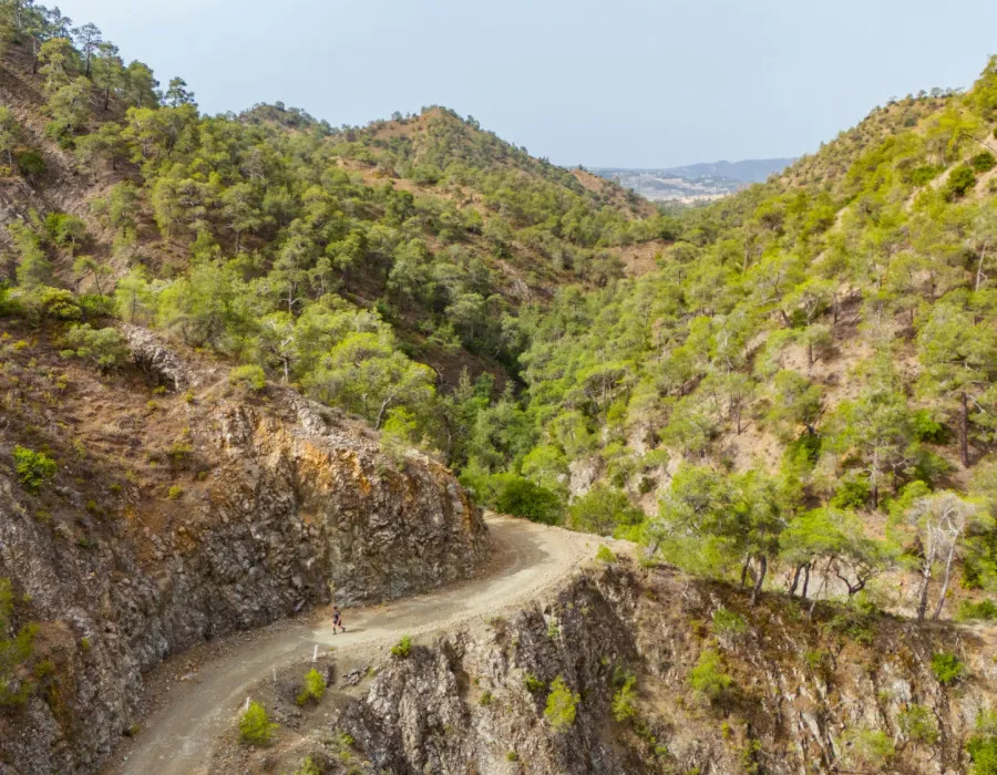 Pathway leading through a rocky terrain, covered in trees