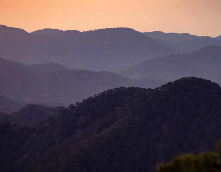 Rolling mountains, covered in trees, beneath a colourful sky
