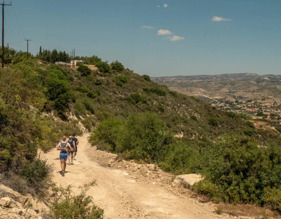 Participants running along a rocky road with greenery either side of them
