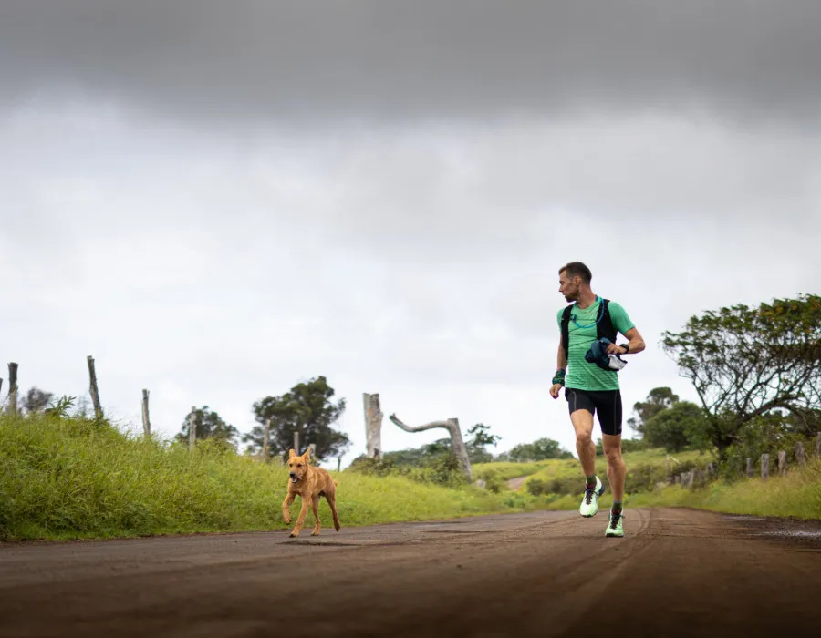 Man and dog running along a road