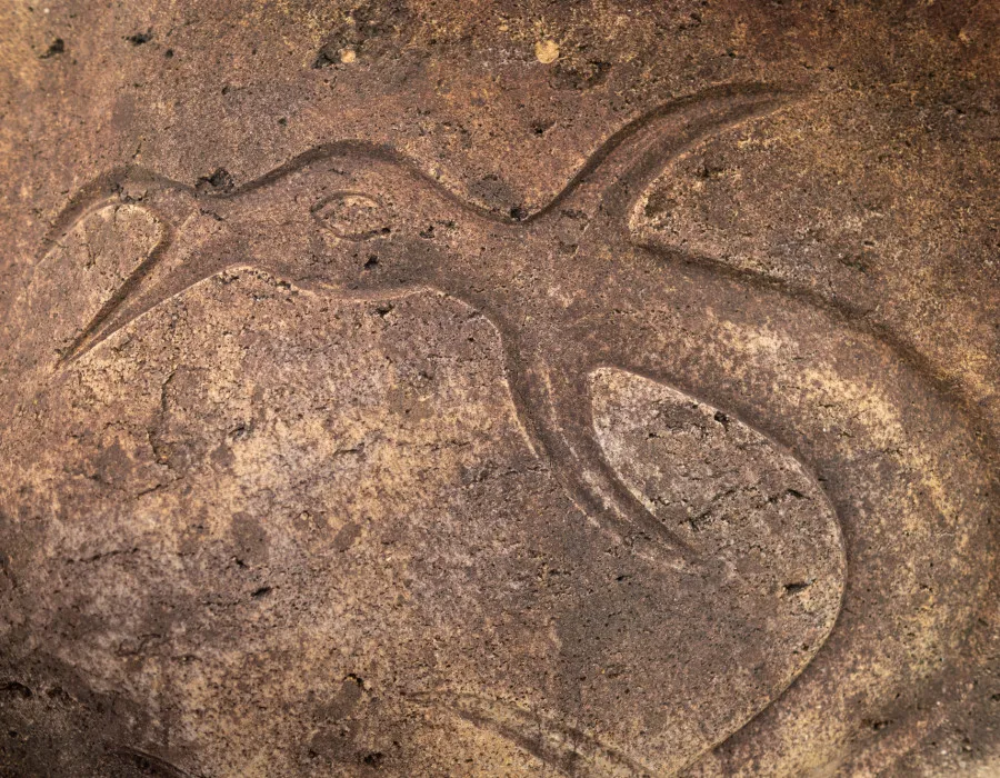 Carving of an animal in a rock