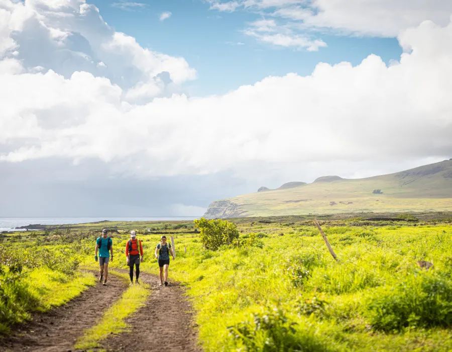 Three event participants walk down a grass track with the sunny sky above them