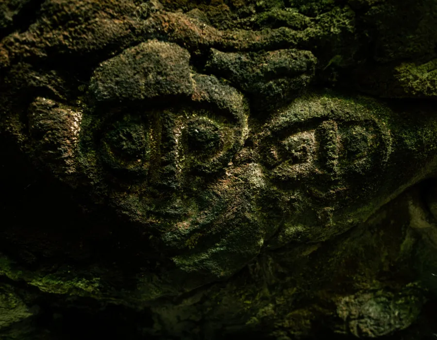 Shapes and animals carved into a rock