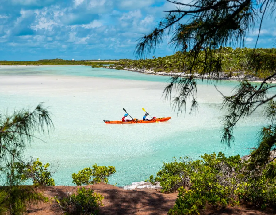 Participants kayaking past greenery
