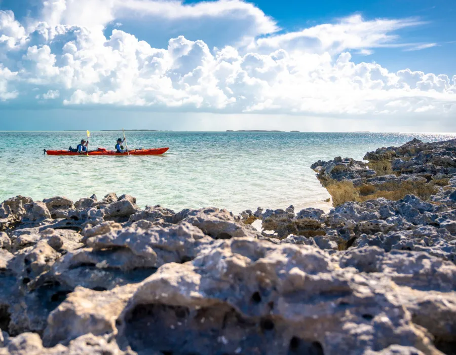 Two participants kayaking through clear water