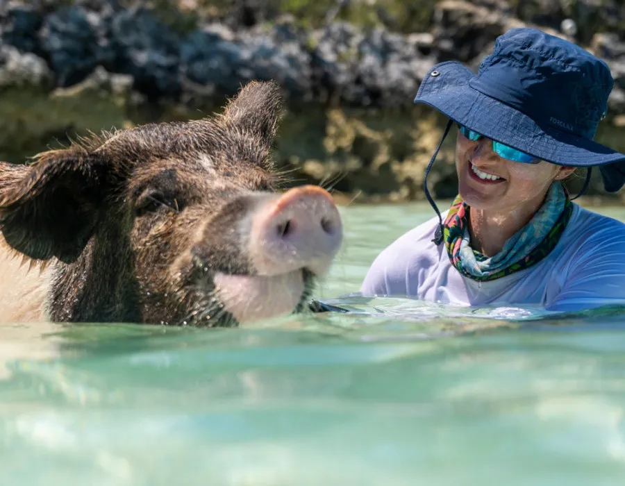 Woman smiling at a swimming pig in clear water