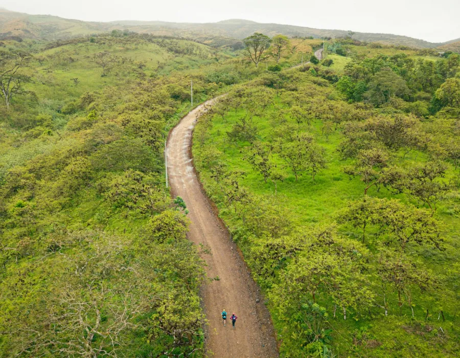 Aerial view of participants running on track, through trees and greenery