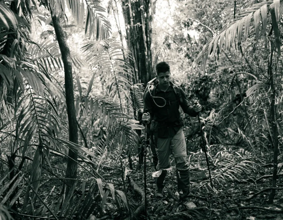 Project Jungle_8
