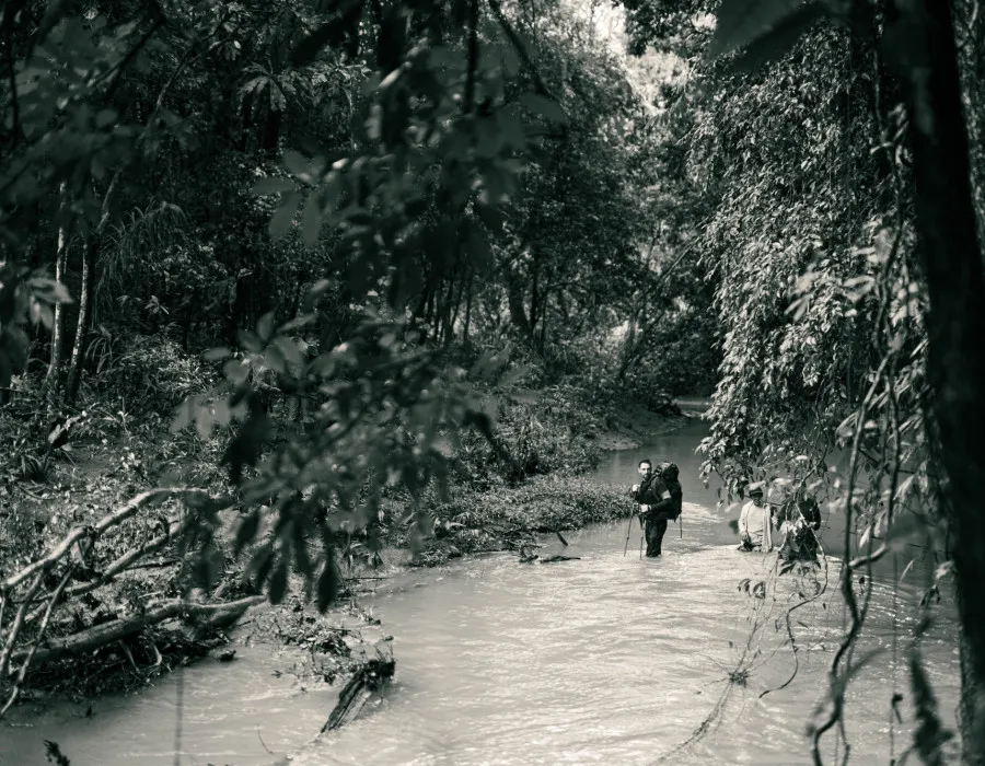 Project Jungle_9