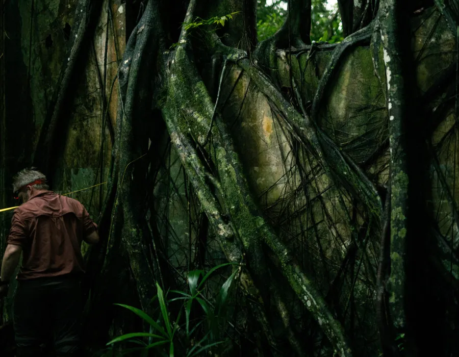 Project Jungle_11