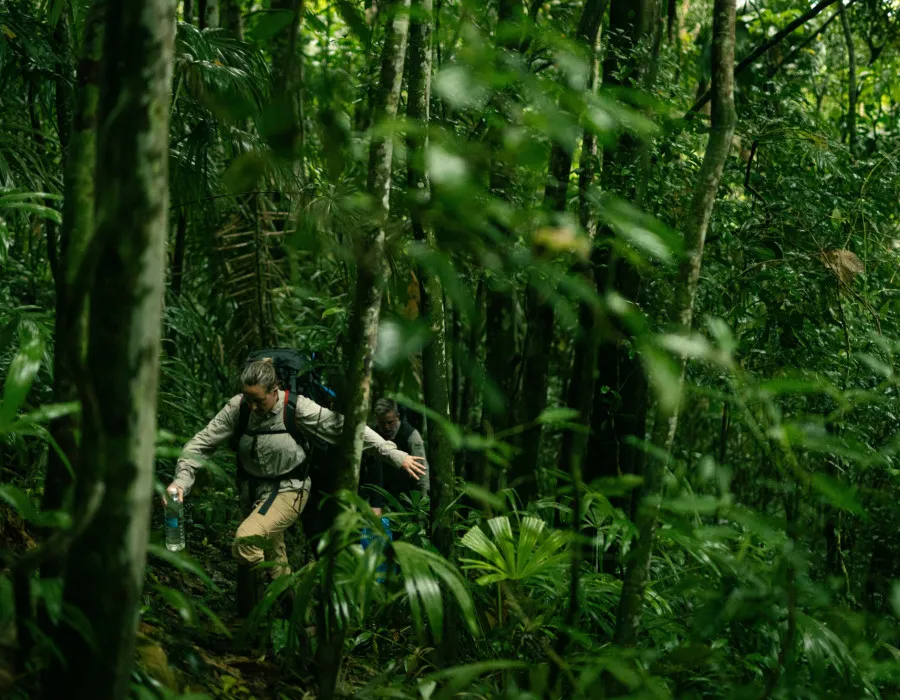 Project Jungle_12