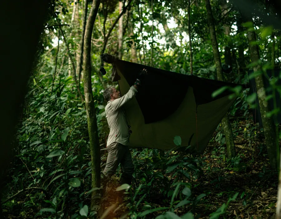 Project Jungle_16