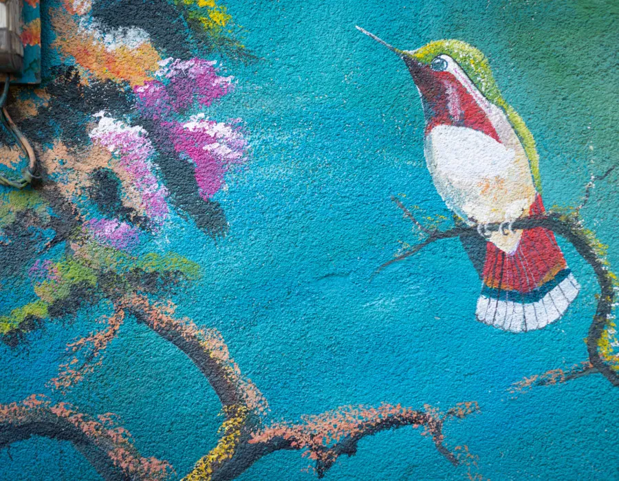 Colourful painting of bird on a wall