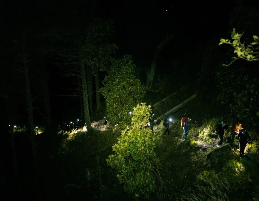 Participants hiking through trees at night