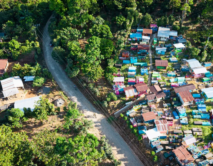 Road winding through greenery and houses