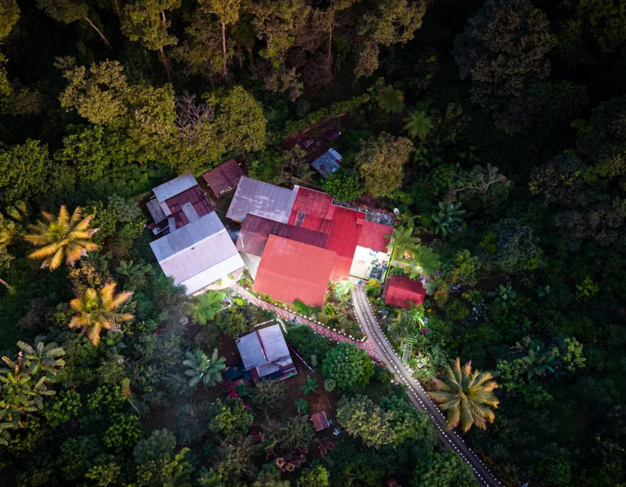 Aerial view of houses in a tropical jungle