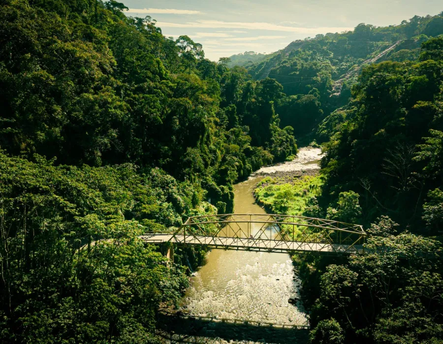 Bridge crossing a muddy river with jungle either side