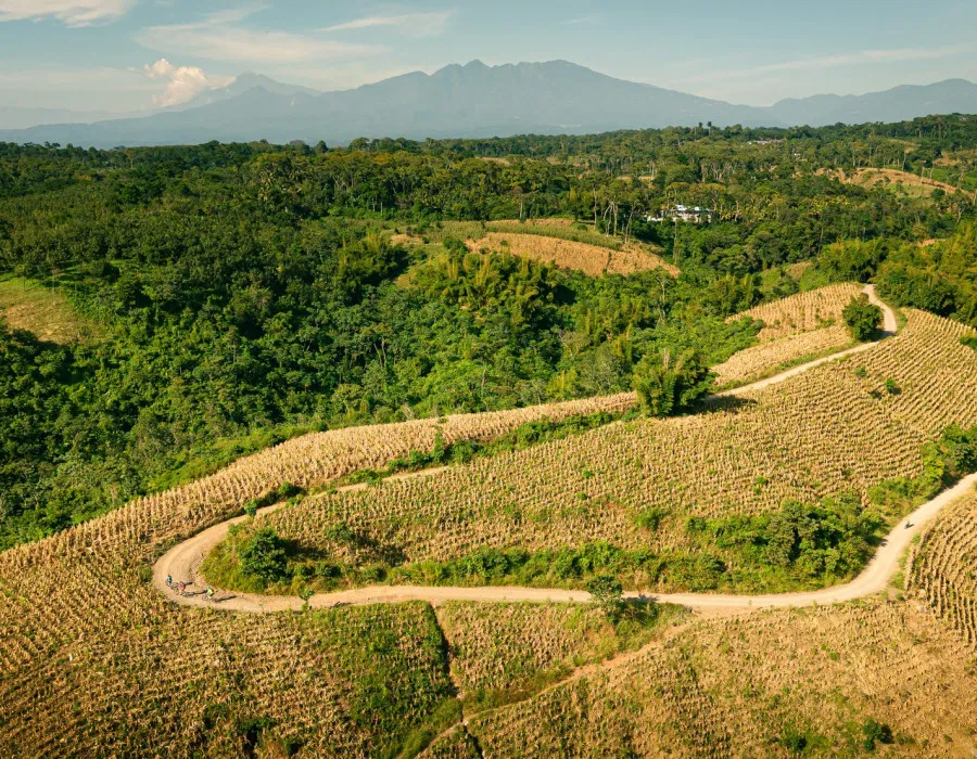 Meandering road through farmland