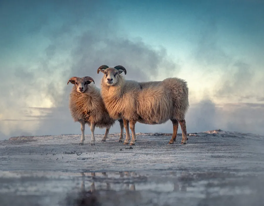Iceland