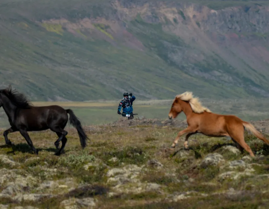 Iceland_14