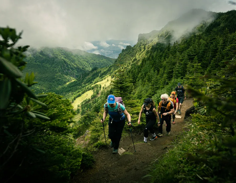 Participants hiking through forest