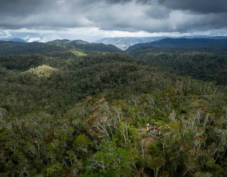 Group of participants meeting in the middle of a forest with mountains in the background