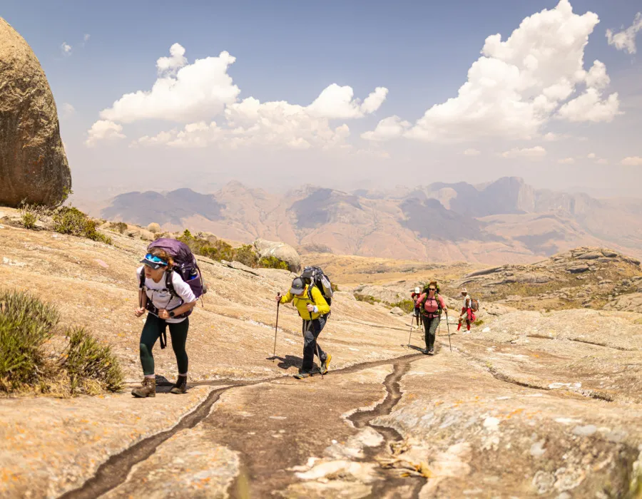 Participants walking with trekking poles over sand-coloured ground with the bright sky above them