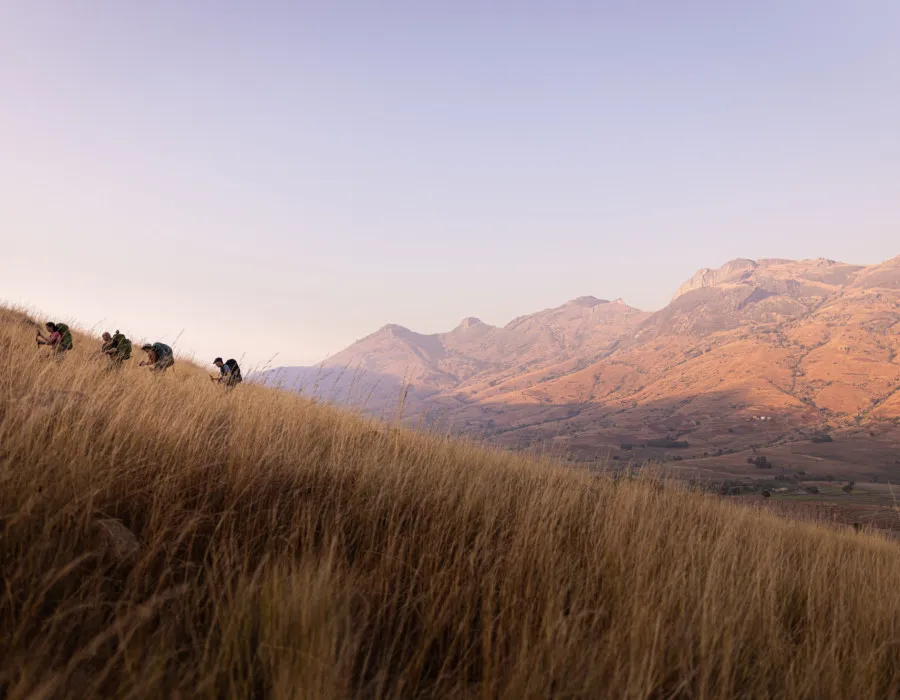 Four participants hiking through long grass with red mountains behind them