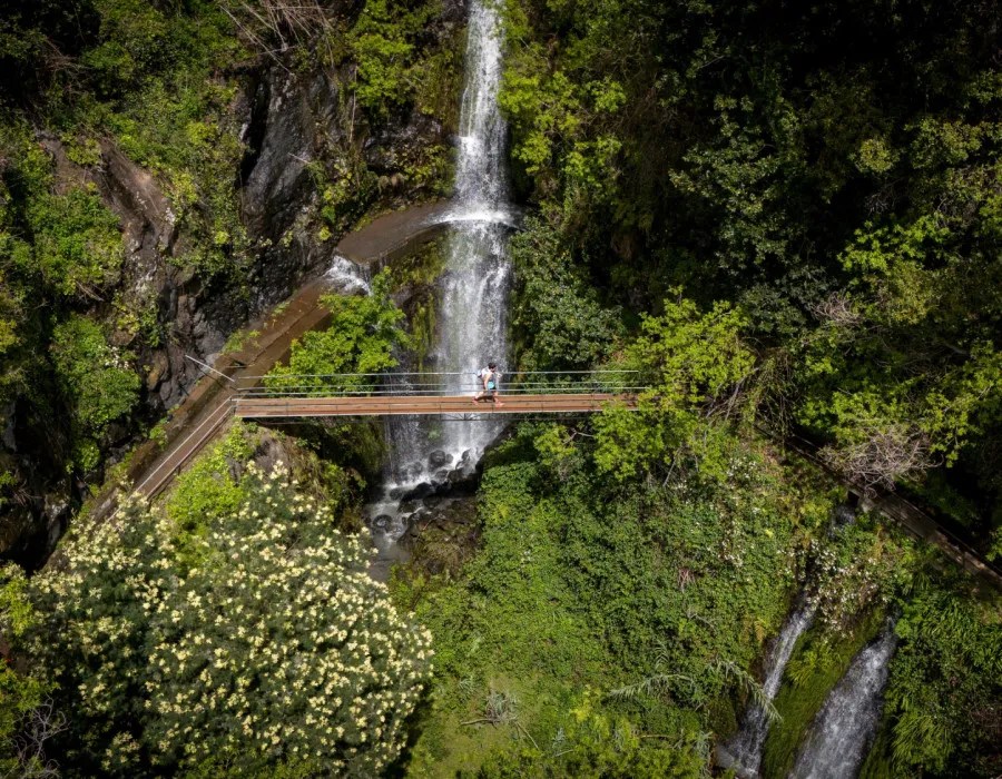 Participant crossing bridge next to waterfall and surrounded by greenery