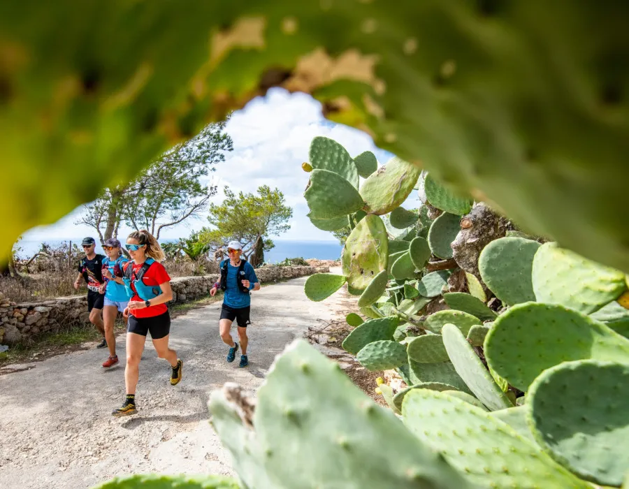 Participants running on dusty track, past plants and stone wall