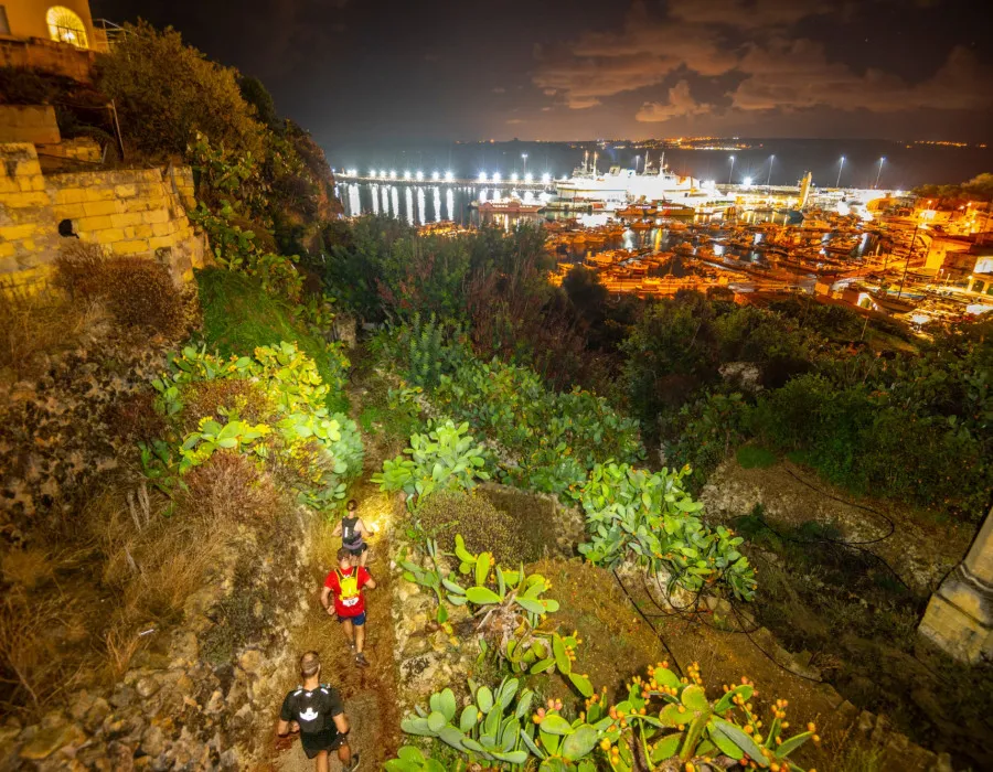 Aerial view view of participants making their way through greenery at night with a lit-up harbour in the background